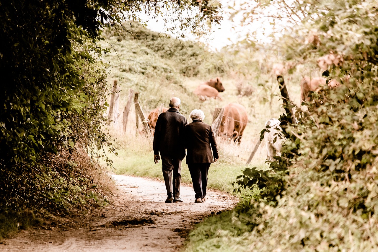 elderly-2914879_1280